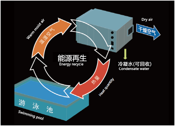 游泳池專(zhuān)用熱泵型恒溫除濕機(jī)原理